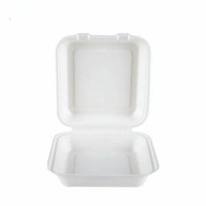 Biofpack,B026,Biodegradable sugarcane bagasse disposable Box,8"*8" Hinged Container,38g,White,500Pcs/box