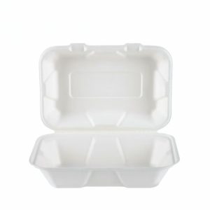 Biofpack,B034,Biodegradable sugarcane bagasse disposable Box,9"*6" Hinged Container,30g,White,500Pcs/box